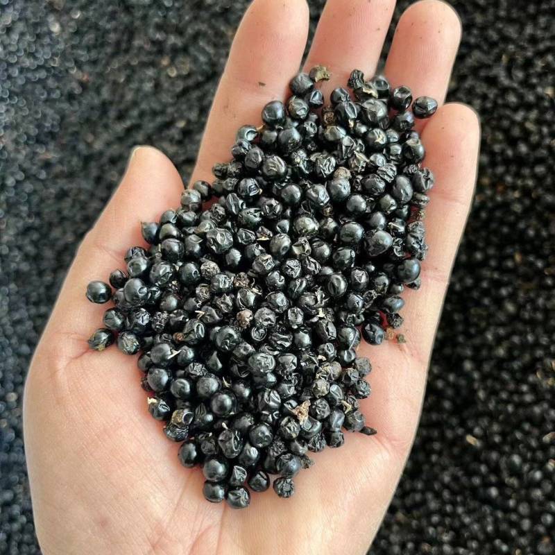 射干种子手剥籽纯新货出芽率高精品货一手货源亳州产地一手货
