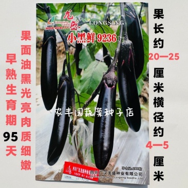 茄子种子绿霸天龙100紫红长茄子种子烧烤茄子春夏秋季播蔬