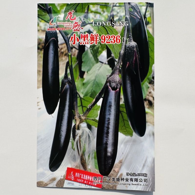 茄子种子绿霸天龙100紫红长茄子种子烧烤茄子春夏秋季播蔬