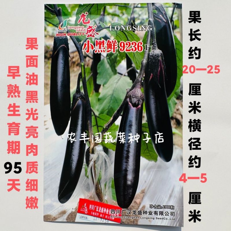 茄子种子绿霸天龙100紫红长茄子种子烧烤茄子春夏秋季播蔬