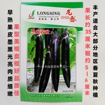 黑龙春秋茄子种子果皮墨黑光亮果型美观茄子种子卖相好品质佳