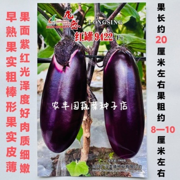 茄子种子龙盛红罐9422茄子种子早熟皮薄紫红色粗棒形红罐