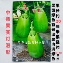 茄子种子龙盛青甜茄子种子绿色灯泡形果肉淡绿色中熟绿茄子种
