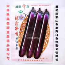 茄子种子龙盛青甜茄子种子绿色灯泡形果肉淡绿色中熟绿茄子种