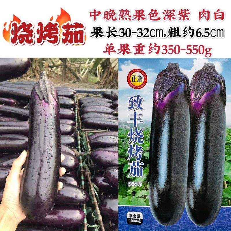 和利农正源致丰烧烤茄种子黑紫色粗茄子种籽四季阳台盆栽蔬菜