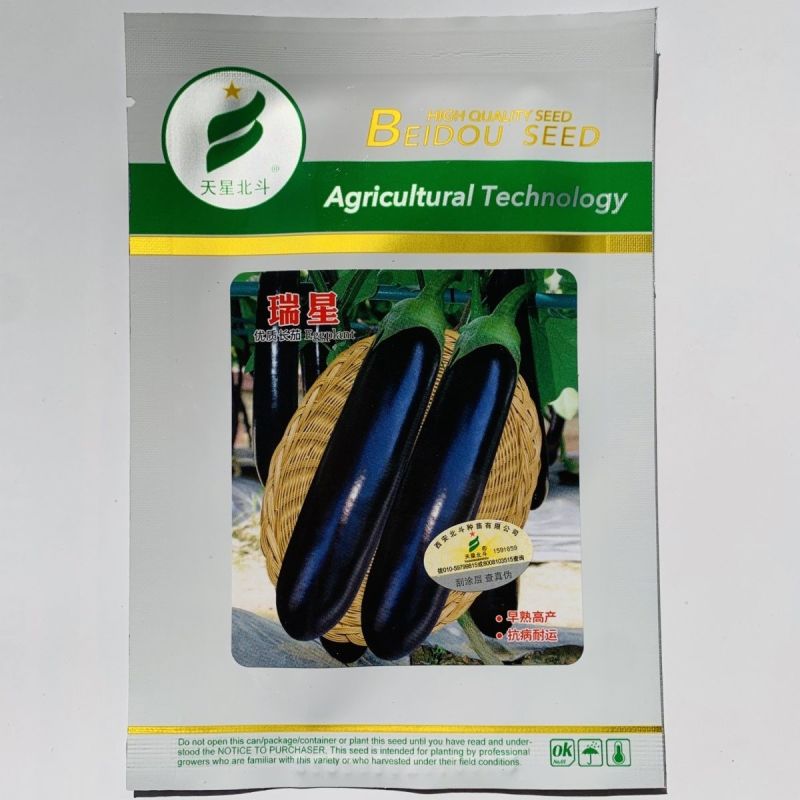 茄子种子天星北斗瑞星茄子种子耐低温弱光抗病强皮色黑亮茄子