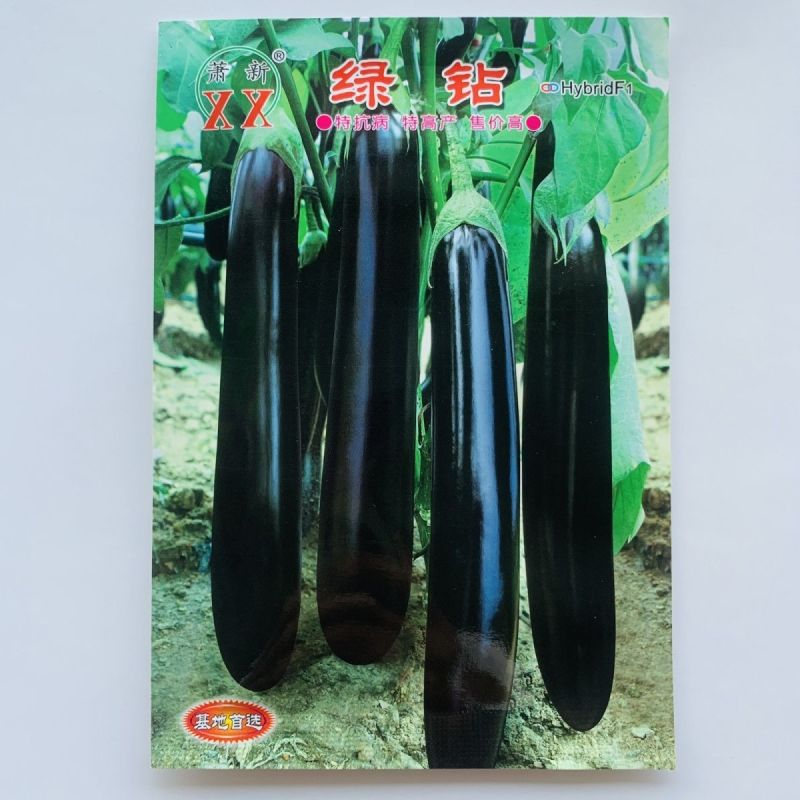 萧新绿钻茄子种子早熟高产黑紫茄子绿把顺直长棒形农家大田蔬