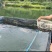 水库黄骨鱼无泥腥味，无崔黄