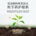云天化7-5-40大量元素水溶肥40斤装粉末全水溶复合肥