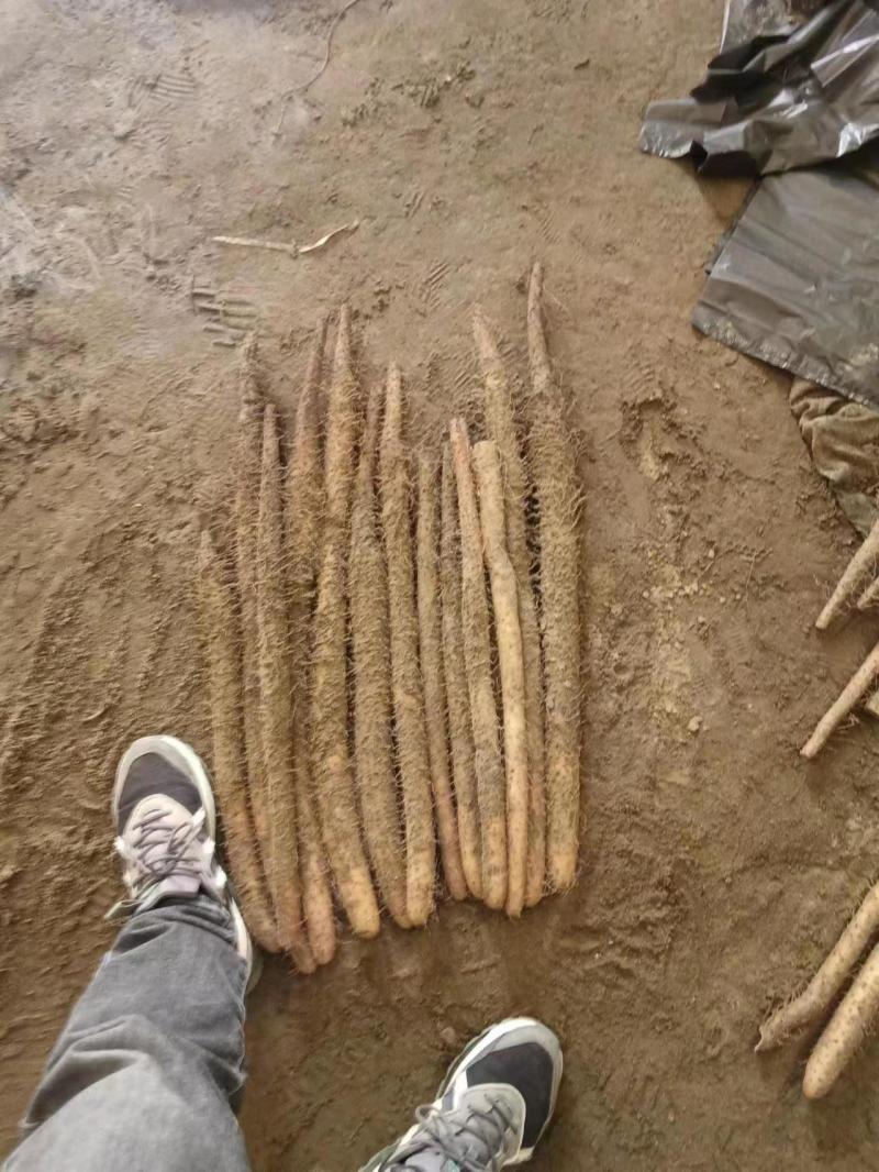 棒山药，干净没土，条形好，有粗度，有长度，软糯，香甜