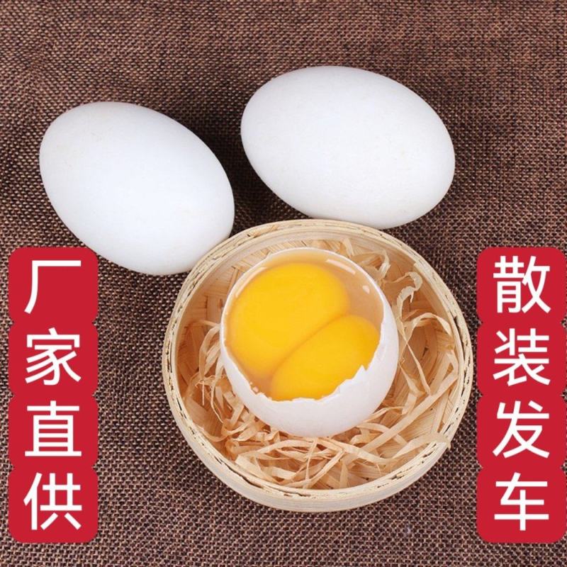 双黄蛋鲜鸭蛋双黄鸭蛋双黄鹅蛋厂家直供