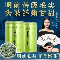 恋凝香2023新茶正宗明前毛尖特产茶叶绿茶春茶叶散装浓香