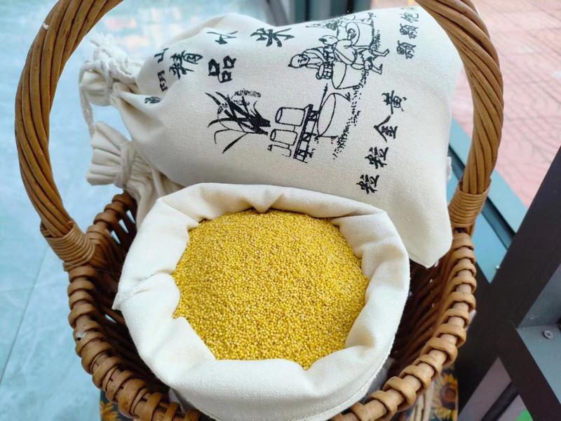 黄小米有机种植米脂油小米沂蒙山小米一件代发电联