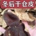 新会陈皮批发价干仓皮老陈皮广东新会陈皮大红柑皮