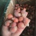 龙虾尾，单冻龙虾尾，小龙虾虾尾，优质农产品，特级龙虾尾。