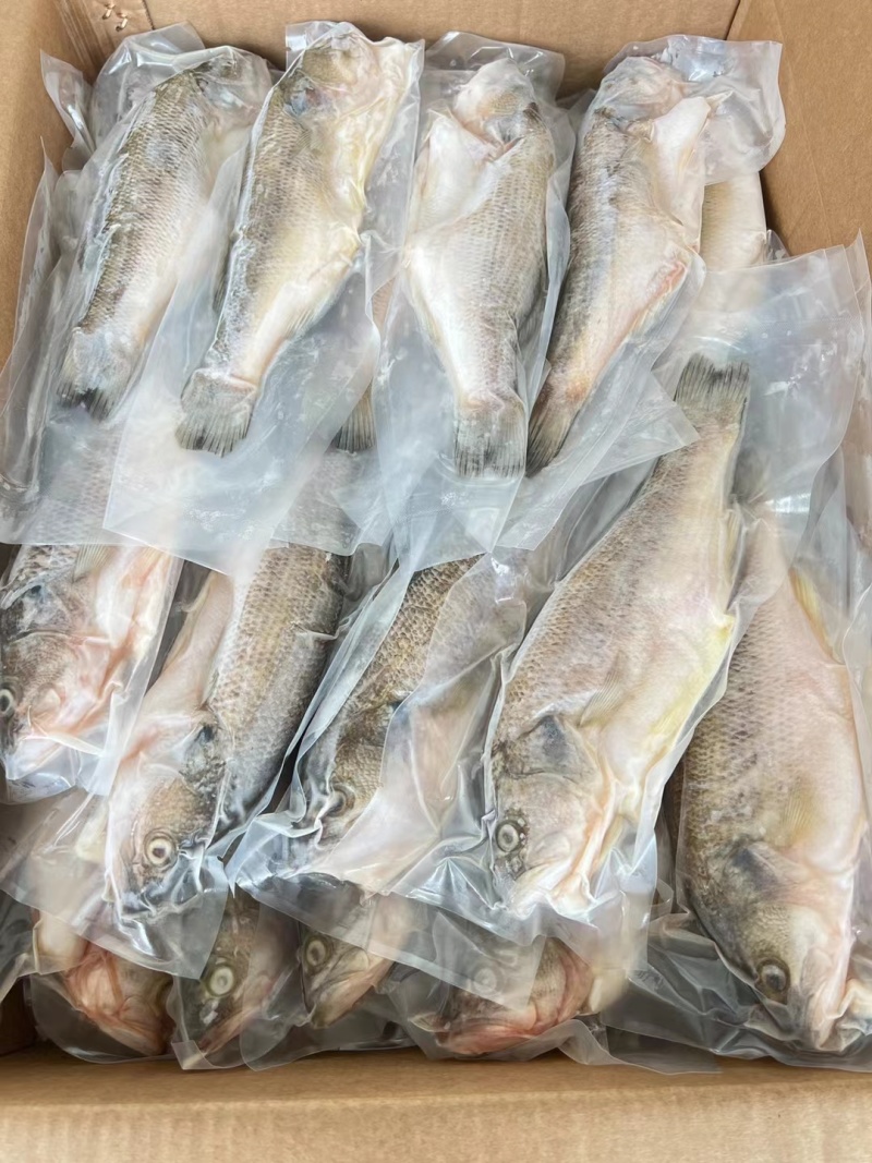 三去鲈鱼，开背鲈鱼