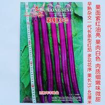龙盛紫红线茄种子彩虹3号5号线茄长茄种籽四季蔬菜春季秋冬