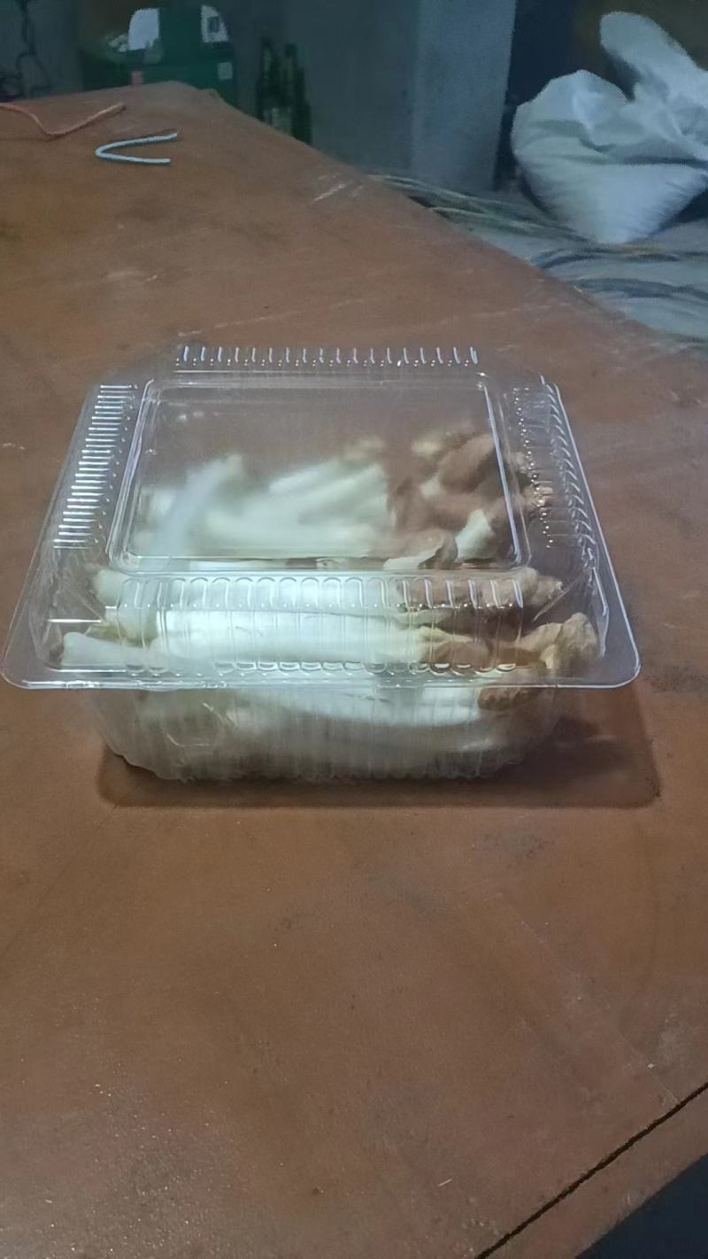 蔬菜花生芽芽苗菜大量现货量大从优价格优惠欢迎电话