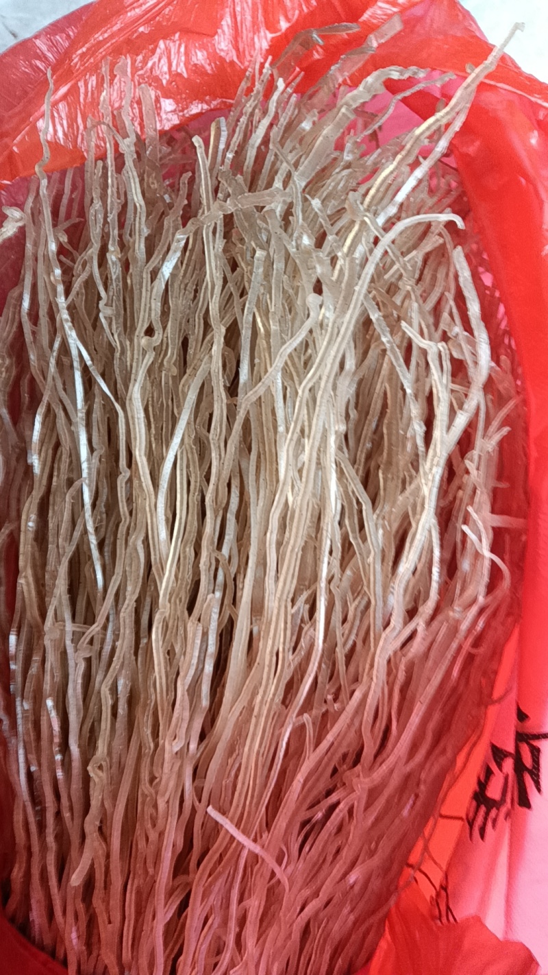 纯署粉丝