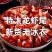 特大号海鲜龙虾尾新鲜冷冻鲜活速冻特麻辣小龙