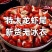 特大号海鲜龙虾尾新鲜冷冻鲜活速冻特麻辣小龙