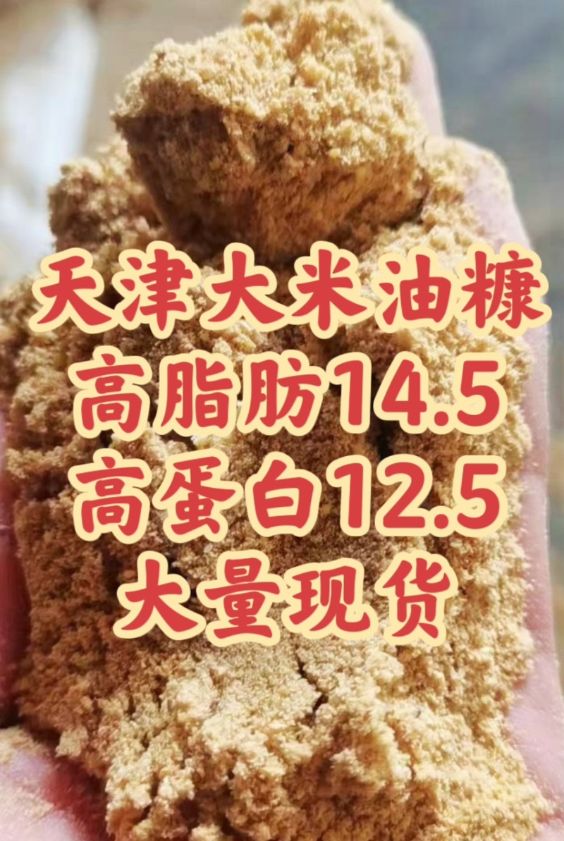 天津大米油糠米糠谷糠麸皮饲料原料高脂肪高蛋白