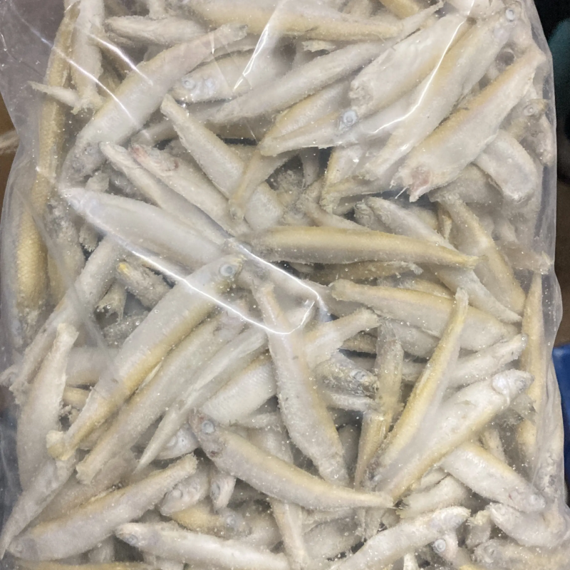 兴泓特色食材公鱼小龙鱼精品单冻无冰各种规格齐全对接批发