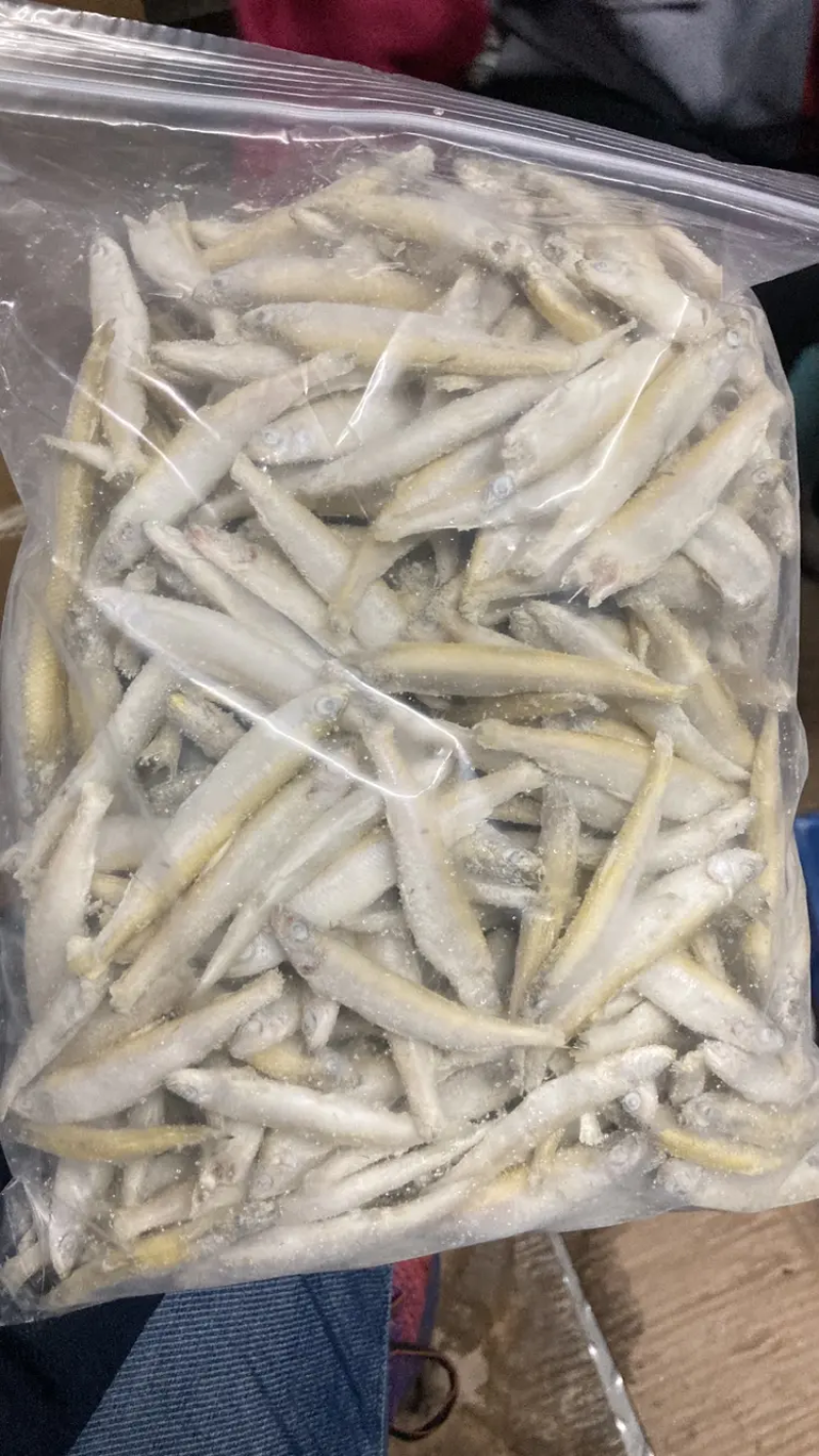 兴泓特色食材公鱼小龙鱼精品单冻无冰各种规格齐全对接批发