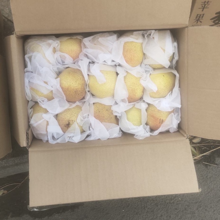 水果批发市场运回苹果和梨各25箱