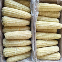 速冻玉米大量供货