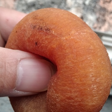 农家柿饼