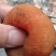 农家柿饼