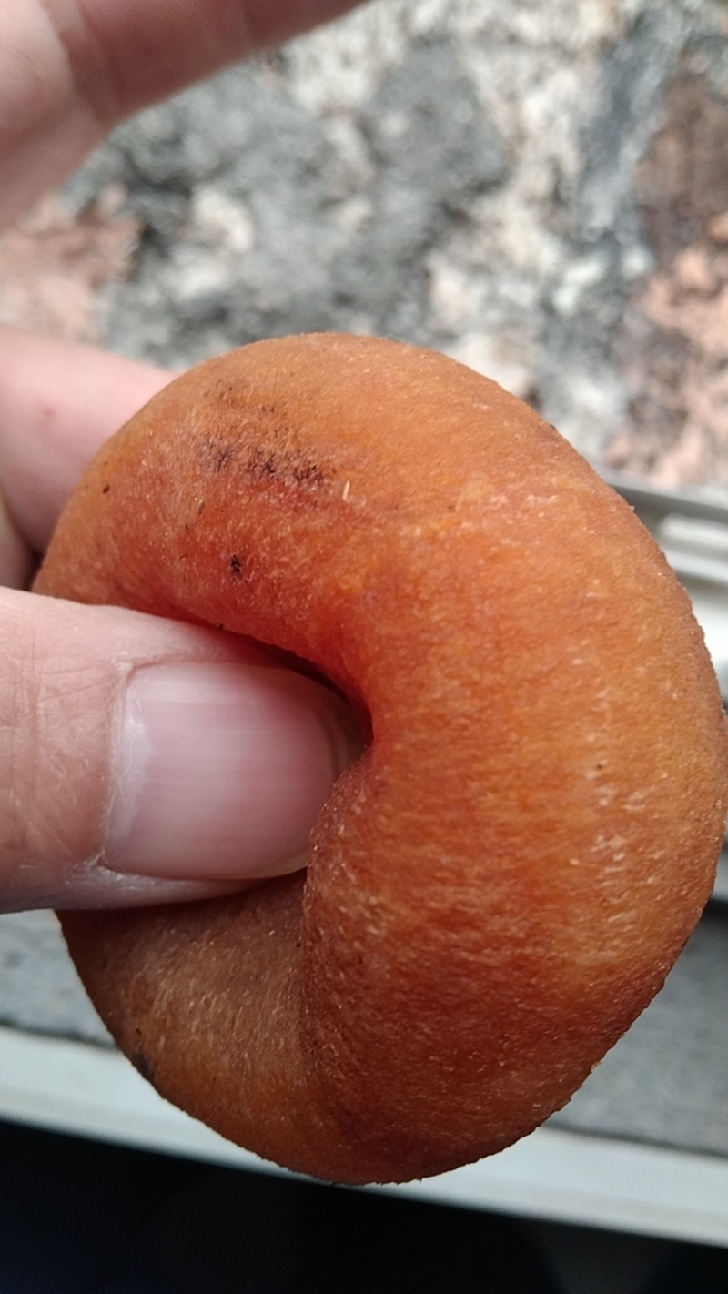 农家柿饼