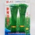 韭菜种子新育苔韭王该品种属叶苔兼用型韭菜以抽苔为主韭菜苔