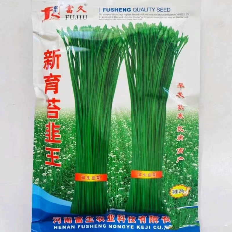 韭菜种子新育苔韭王该品种属叶苔兼用型韭菜以抽苔为主韭菜苔