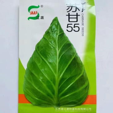 甘蓝种子江蔬苏甘55甘蓝种早熟夏秋牛心甘蓝种子耐热性好包