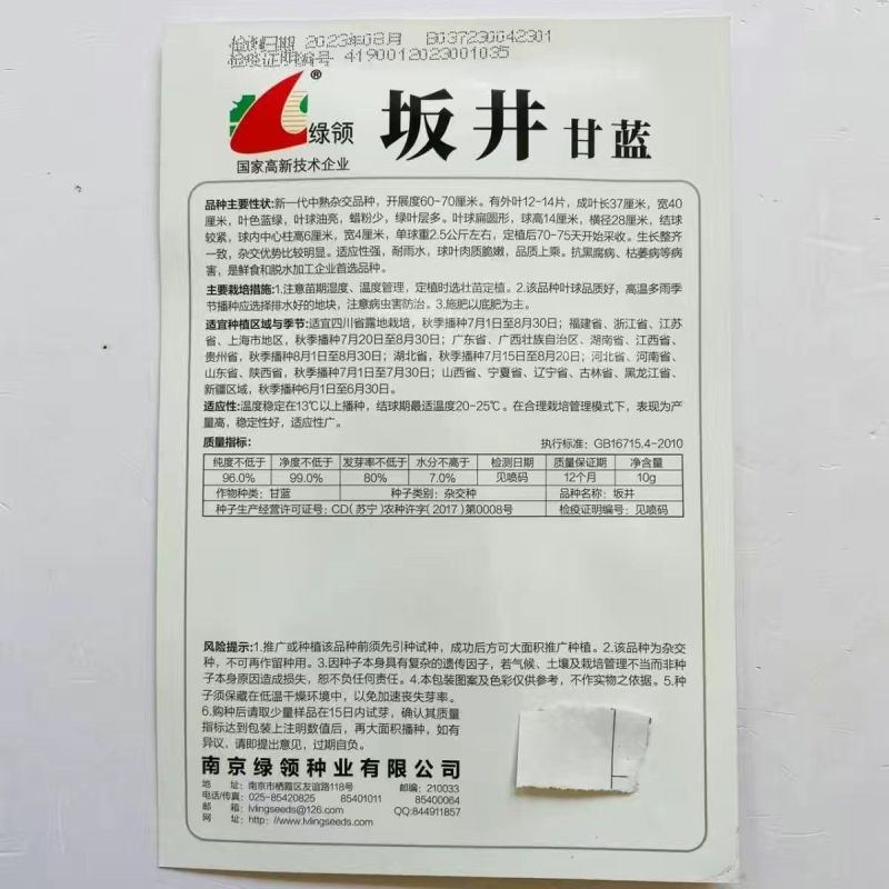 甘蓝种子绿领坂井甘蓝种子叶球扁圆形油亮肉质脆嫩水果型甘蓝