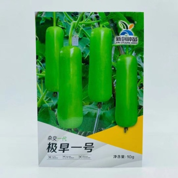 极早一号瓠瓜种子极早熟抗病抗逆性强蒲瓜种肉质嫩滑瓠瓜蔬菜