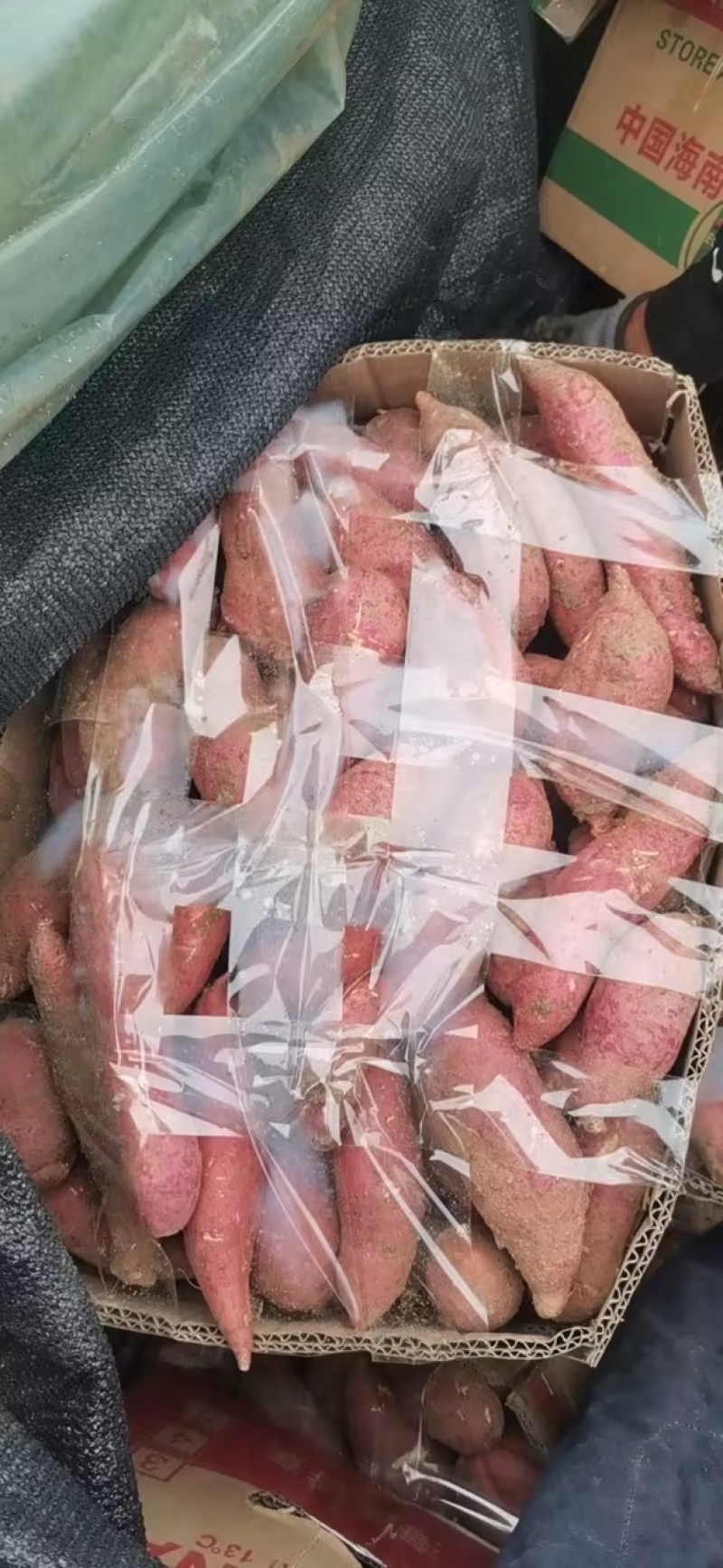 安徽精品西瓜红大量上市，产地一手货源，规格多样价格可谈
