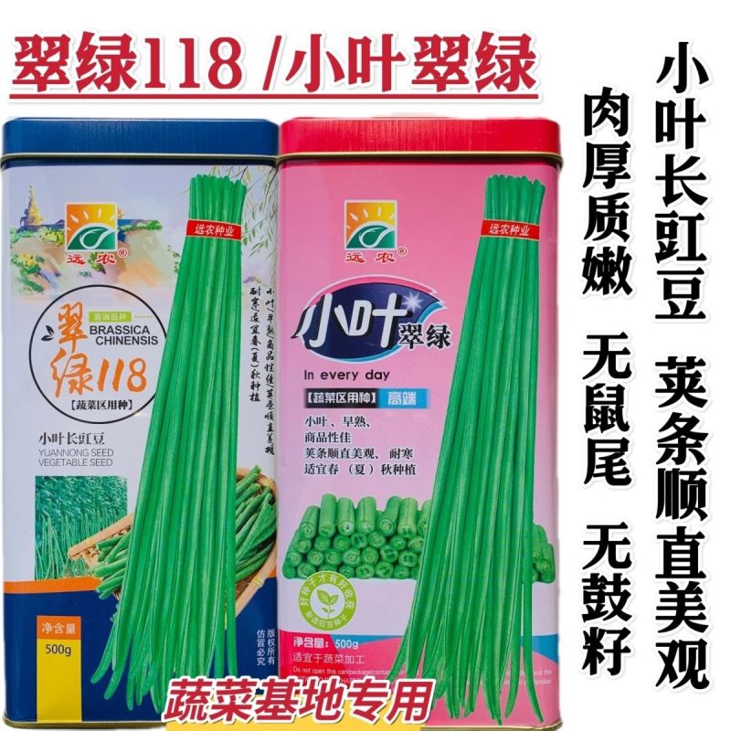 江西小叶长豇豆种子翠绿条豆角种子早熟春夏秋耐寒豇豆种籽结