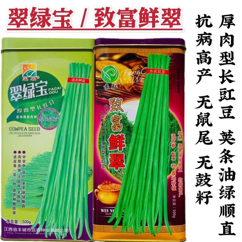 翠绿宝致富鲜翠长豆角种子厚肉型长豇豆种子荚长油亮翠绿不易