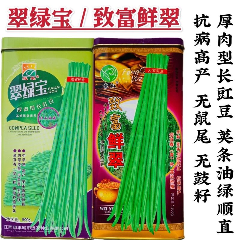 翠绿宝致富鲜翠长豆角种子厚肉型长豇豆种子荚长油亮翠绿不易