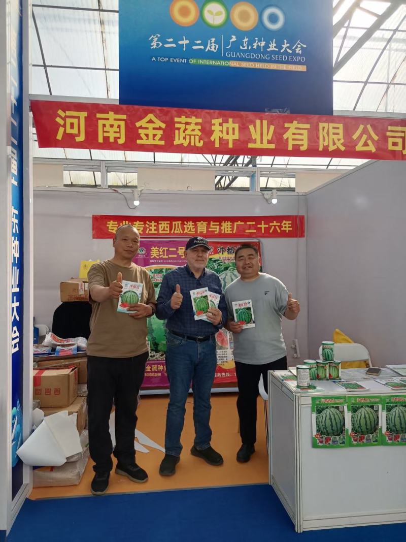 美都种子高纯度含糖高品质好瓤红耐裂个大周正