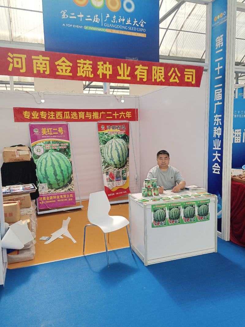 美都种子高纯度含糖高品质好瓤红耐裂个大周正