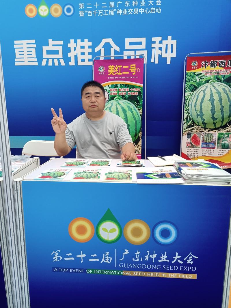 美都种子高纯度含糖高品质好瓤红耐裂个大周正