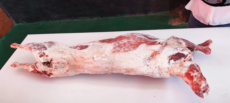 蒙古国羊胴体，草原羊不育肥，质量好，价格优