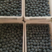 【千亩种植基地】奥尼尔蓝莓产地供应质量好对接大型批发商