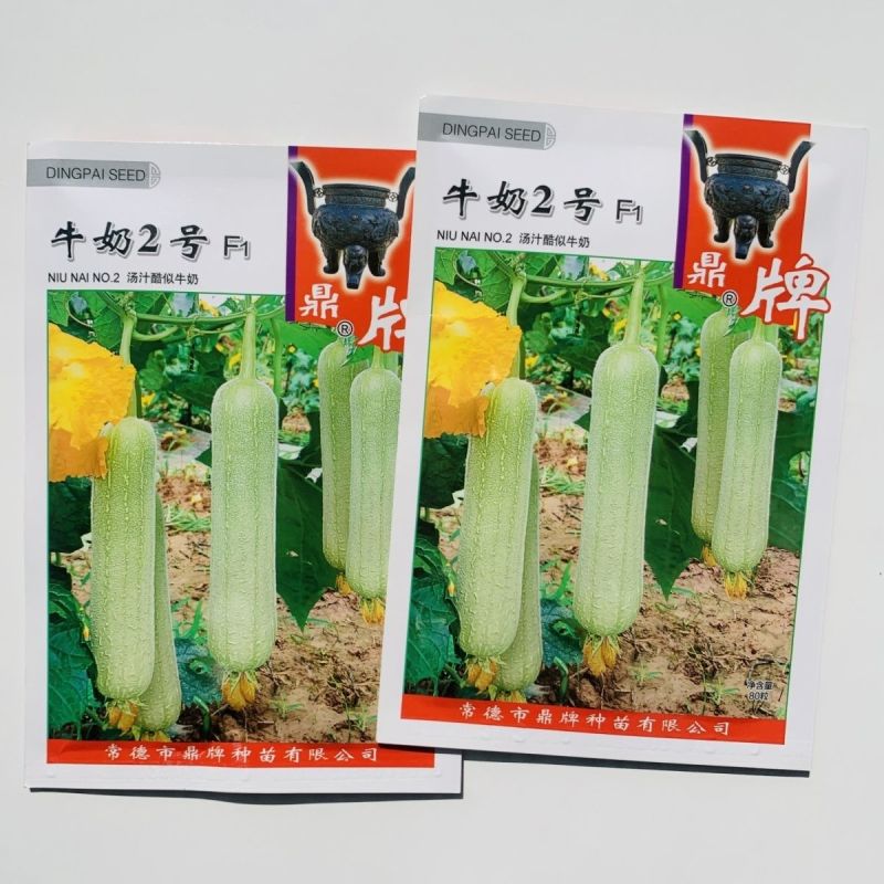 鼎牌丝瓜种子牛奶2号牛奶丝瓜种子口感特嫩特别滑短棒白丝瓜