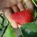博山瓦泉红颜鲜草莓