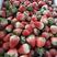 大凉山露天草莓，支持一件代发，代办，平台直供